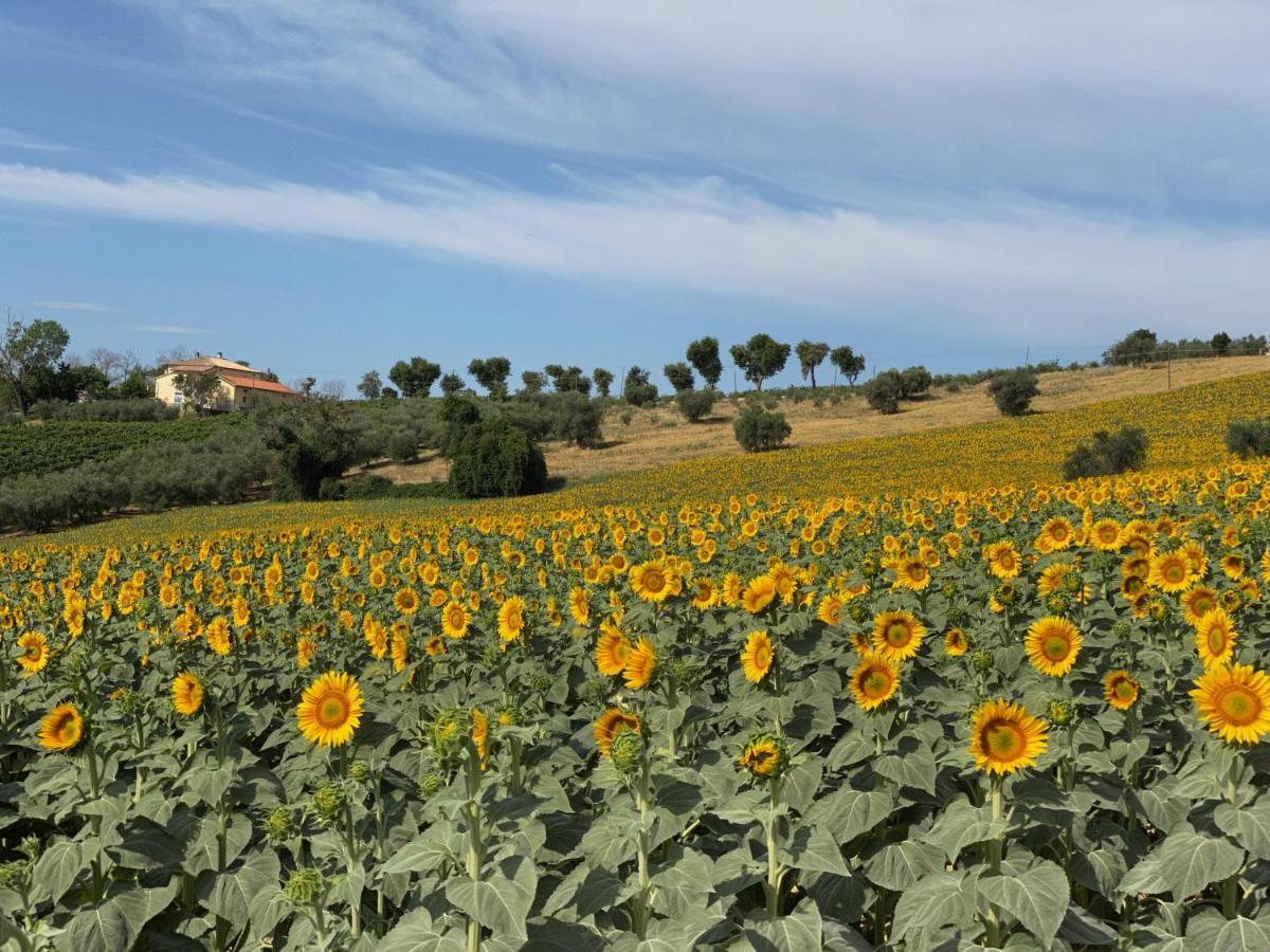 Ferienwohnung Girasole San Marcello  Exterior foto